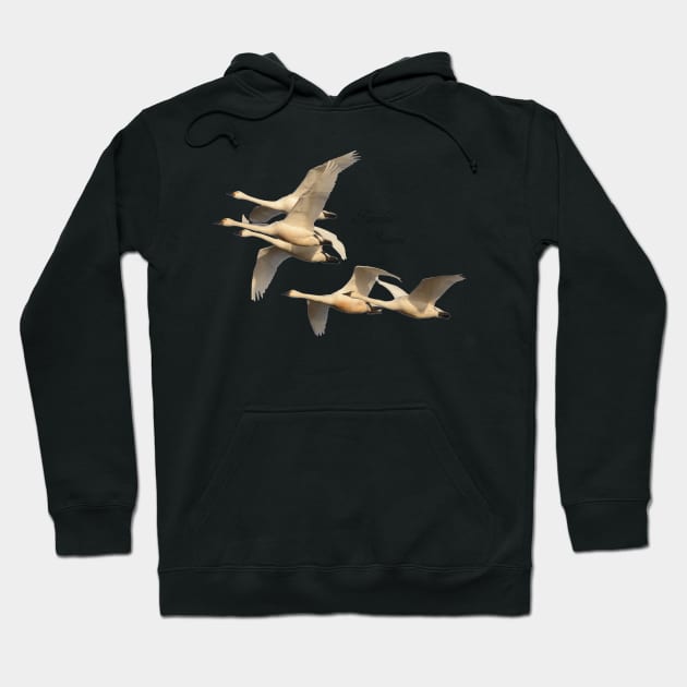 Tundra Swans Hoodie by Whisperingpeaks